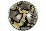 Eye-Eatching, Polished Septarian Dish - Madagascar #350242-1